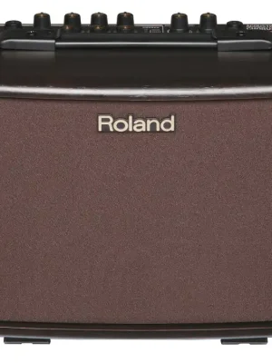 Sehr beliebt - Roland AC-33