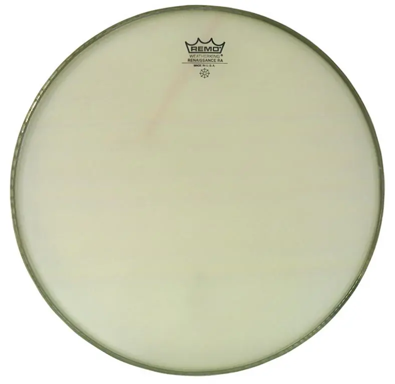 Sofort bestellen - Remo 15" Ambassador Renaissance