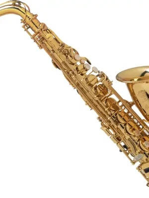 Top-Deal - Selmer SE-AAXLSET Altsaxophon Axos