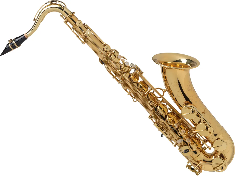 Nur wenige verfügbar | Selmer SE-TAXLSET Tenorsaxophon Axos