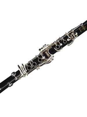 Buffet BC2541-2-0GB B Klarinette Prodige 17/6 | Rabatt