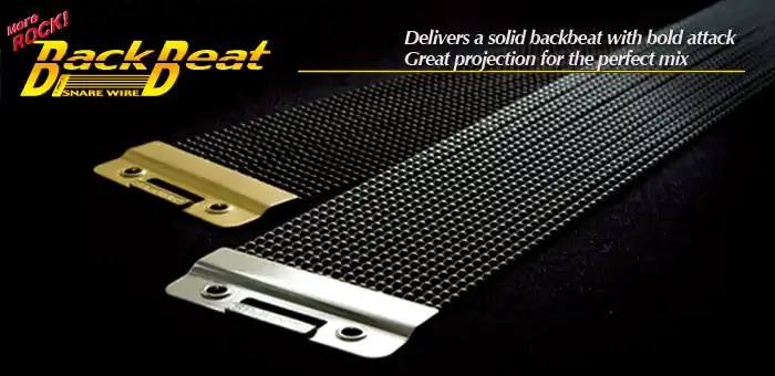 Nur noch heute | Canopus Snareteppich Back Beat Chrome 14"
