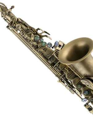 Premium-Qualität - P.Mauriat XA-67R DK Altsaxophon