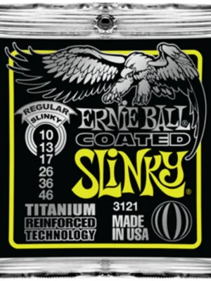 Ernie Ball EB3121 | Sicher einkaufen