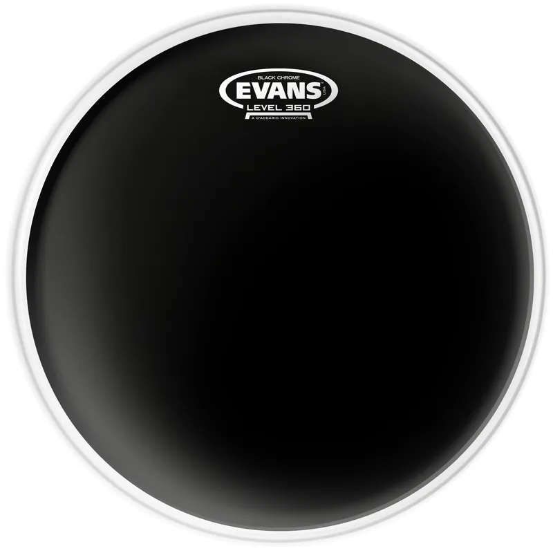 Direkt kaufen | Evans 12" Black Chrome