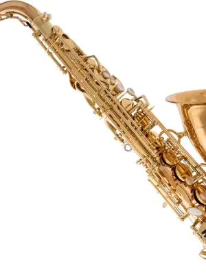 Hammerpreis | Yanagisawa A-WO20 Altsax Bronze Elite