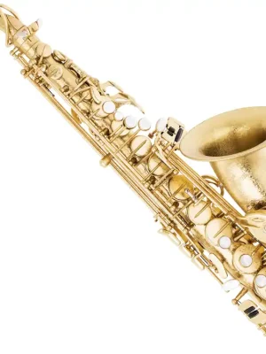 Antigua AS4248SFL-GH Altsaxophon B-Ware Aussteller - Abverkauf