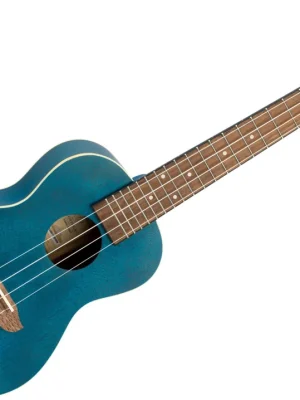 Bestseller - Ortega RUOCEAN Konzertukulele