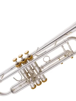 Neu verfügbar - Stomvi 5335 Elite Trompete