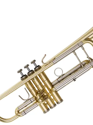 Nur für kurze Zeit - B&S 3143/2-L Trompete Messing