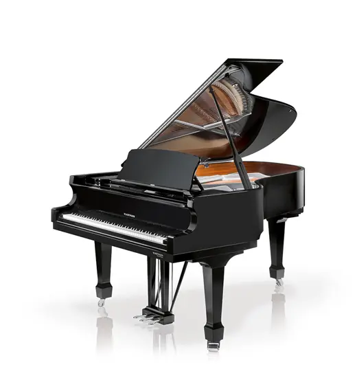 W. Hoffmann P162 Professional - Hammerpreis
