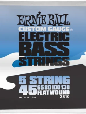 Ernie Ball EB2810 | Zertifiziert