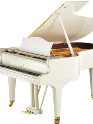 C. Bechstein A 192 Concert - Aktion