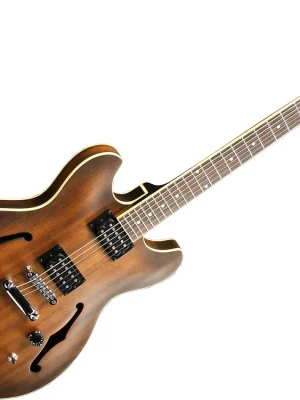 Top-Preis - Ibanez AS53-TF E-Gitarre