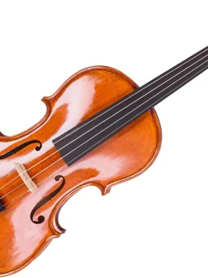 Sandner 8125 Violine 4/4 Student - Markenqualität