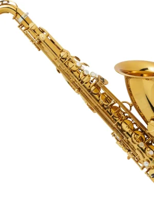 Abverkauf | Selmer SE-TSULSET Tenorsaxophon Supreme B-Ware