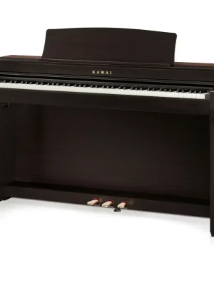 Kawai E-Piano CN301 Rosenholz matt | Zeitlich begrenzt