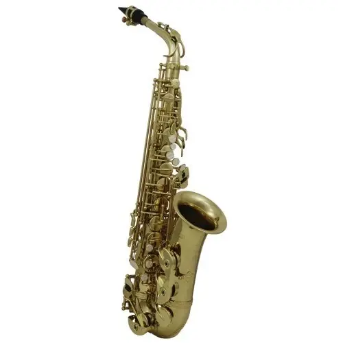 Nur noch kurze Zeit - Roy Benson AS-202 Altsaxophon – Schüler-Sax in Es mit Hoch-Fis-Klappe, Pisoni-Polster und Mundstück inkl.