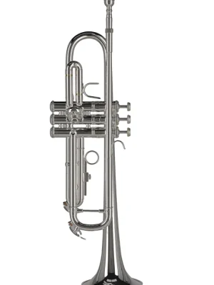 Sicher einkaufen - GEWA Germany Ambition TR650S B-Trompete – ML-Bohrung & Goldmessing-Mundrohr, versilbert