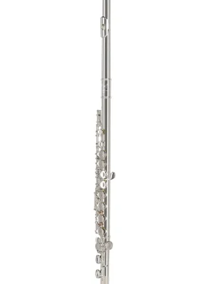 Angebot - GEWA Germany Ambition FL650E Querflöte – versilbert & Offset-G, E-Mechanik