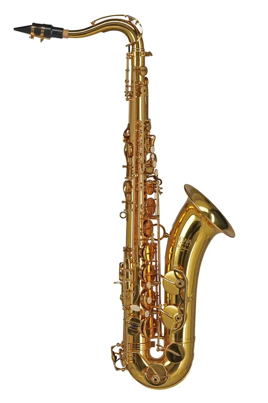 Bestseller | GEWA Germany Ambition TS650 Bb-Tenor-Saxophon – Goldlack & Hoch-F -Klappe